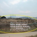 풍동농장 Daum카페
