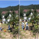 선녀랑 백담이랑 2 이미지