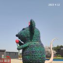 코리아플라워 이미지