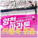 장구와 민요 | [러닝] 2026 양천 마라톤 벚꽃런 10k 후기 (feat. 영등포 분좋카 셰프의 아이들)