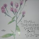 친구야 한잔하자 이미지