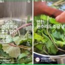 티하우스다운재 네이버블로그