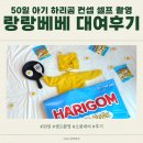 하리보 곰돌이로 변신! 50일 셀프 촬영 컨셉 추천 (랑랑베베 대여 후기)