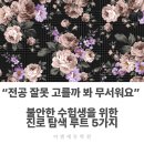 “전공 잘못 고를까 봐 무서워요” 불안한 수험생을 위한 진로 탐색 루트 5가지