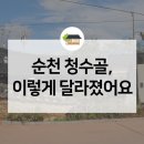 청수정협동조합 이미지