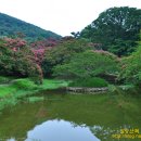 명옥헌원림2(입구) 이미지