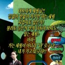 종로명태덕장 이미지