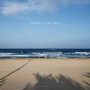 바다해 - 당진시 반촌로 257-1 | 바다해