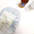 불타는청춘닭발 이미지