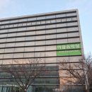 발렌타인콘서트 | 발렌타인데이 지브리 OST 콘서트 디 오케스트라 고양 다녀온 후기