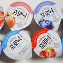 프로닉 네이버블로그