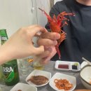 &lt;속초 포장마차 거리 &gt; - 전현무계획 아지트 : 꽃새우, 닭새우, 도화새우 맛집 강추! 내돈내산 솔직후기