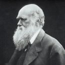종(種)의 기원(起原)-찰스 다윈(&#39;Darwin, Charles Robert&#39;)