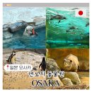 오사카 주유패스 사용처 덴노지 동물원 자유여행 후기