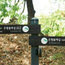 더큰여행주 이미지