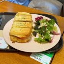 디엔유 | [카페] 소하동 카페 / 브런치 맛집, 카페디엔유 (Cafe the NU)