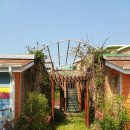 풀빛둥지펜션 이미지