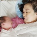 태리 이미지