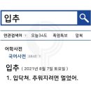 네일도아 - 천안시 서북구 | 네일도아