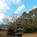 삼화교역 | 탐라인들의 삶 삼양동선사유적, 삼양검은모래해변, 삼화포구, 불탑사오층석탑/제주여행[제주올레 18코스]