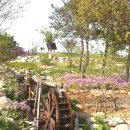 호수와 바다 이미지