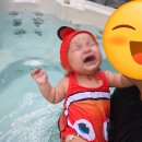 까사모로 | [강원도 여행] 홍천 까사모로펜션 미디어풀, 대형온수스파 있는 풀빌라에 다녀왔어요~