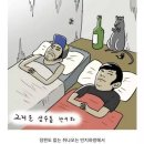 반지하 - 미추홀구 | 반지하 직접 살아본 후기 장단점 총정리 (feat. 옥탑방과의 비교)