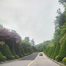 리앤리CC 하이랜드 &amp; 스카이 코스 라운딩 후기 - 코골모의 완전체 골프 데이
