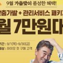 터미널가발