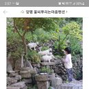 꽃씨뿌리는마음 | 꽃씨뿌리는마음펜션-고객님 후기