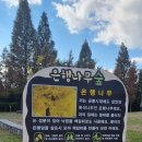 금빛하늘 작은도서관 네이버블로그