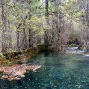 황룡목욕탕 이미지