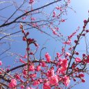 하당요리학원 Daum카페