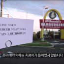 빨간코끼리 - 82111 | 빨간코끼리