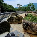 섬진강대나무숲길 이미지