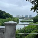 토성관광주 이미지