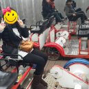 (주)강촌레일파크 이미지