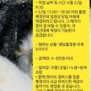 신자;꽃 이미지