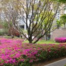 한숲로33번길 네이버블로그