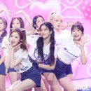 멍뭉미 이미지