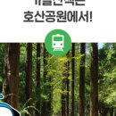 호산약국 이미지