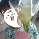 6살 일상&gt; 아마도 내 아들은 intJJJ ?(+대전롯데백화점 맛집, 봄나들이 국내여행: 나주, 의령, 진주, 전주)