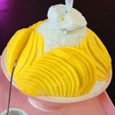 알래스카 &#34; 베트남 다낭에서 원숭이와 놀며 맛난음식과 망고빙수 이야기 이미지