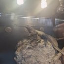 고양로봇박물관 이미지