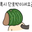 킨더킹 이미지