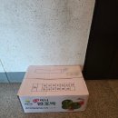 미소농장 | 농라 농라에프 제주미소농장 미니밤호박 혼합 10kg