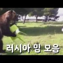 (2차 수정본) 아하! 이래서 '불곰국', '불곰국' 하는 거였군. 이미지