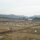 가나빌딩 이미지