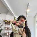 플랑떼플레르 이미지