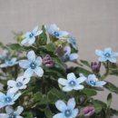 송은농장 이미지